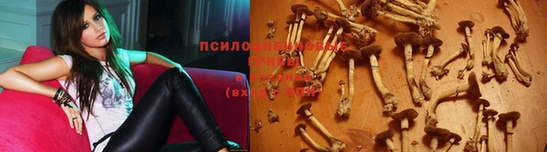 MESCALINE Алзамай