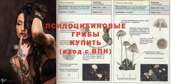 MESCALINE Алзамай