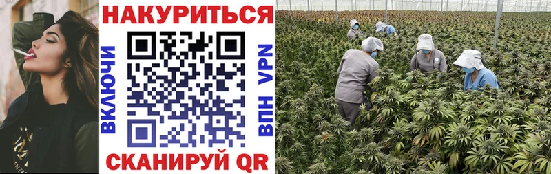 дарнет шоп  Котлас  Бошки марихуана гибрид 
